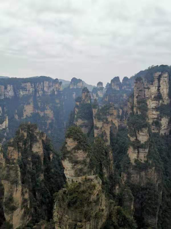 微信图片_202101051050257