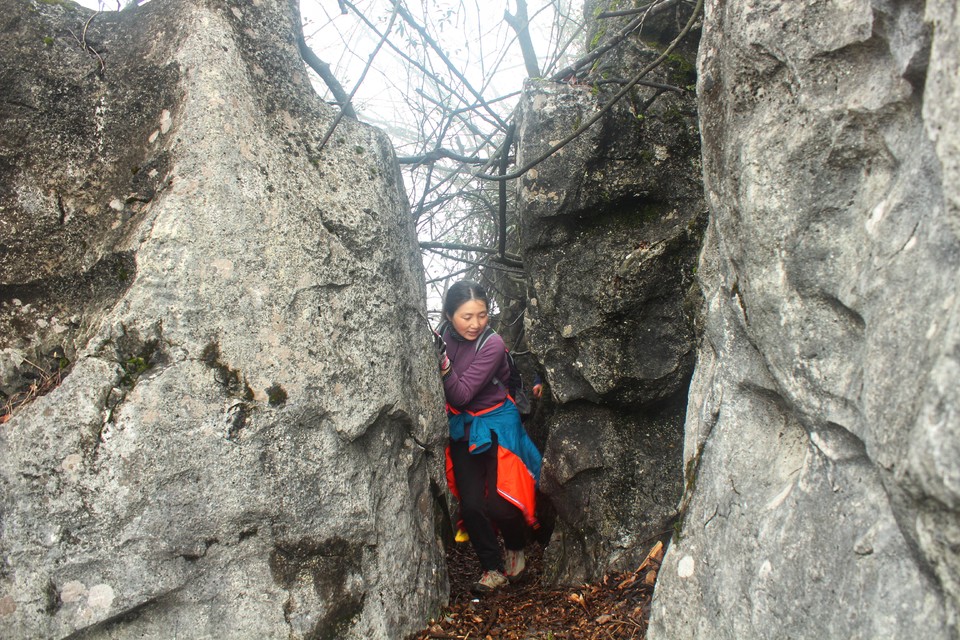 微信图片_20210308164311