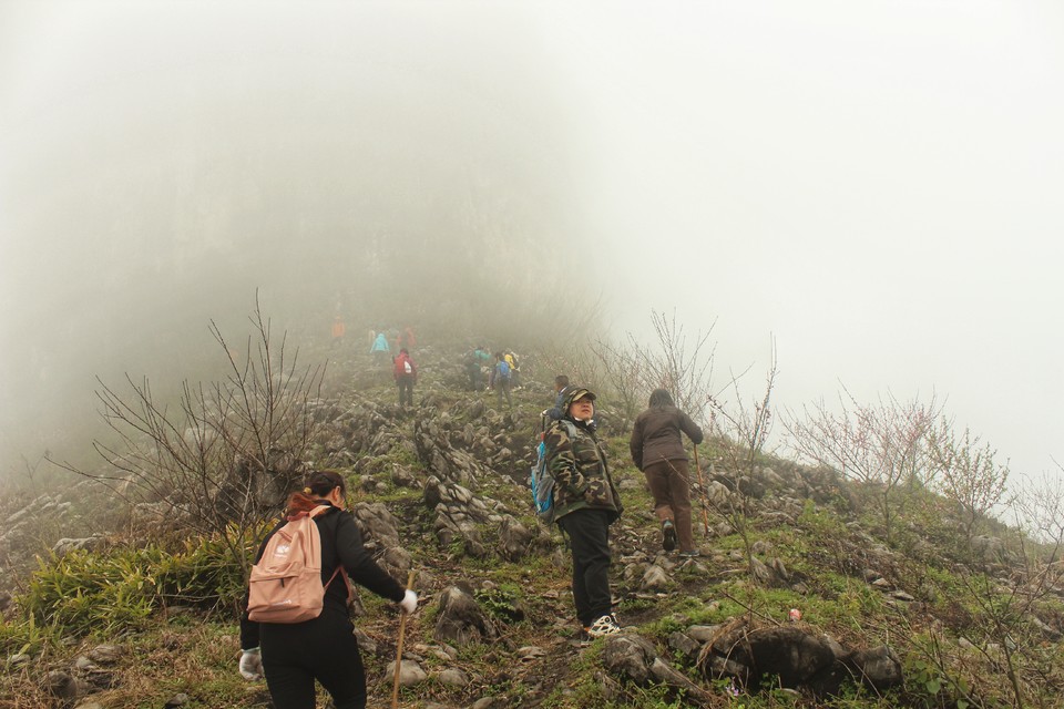 微信图片_20210308164420