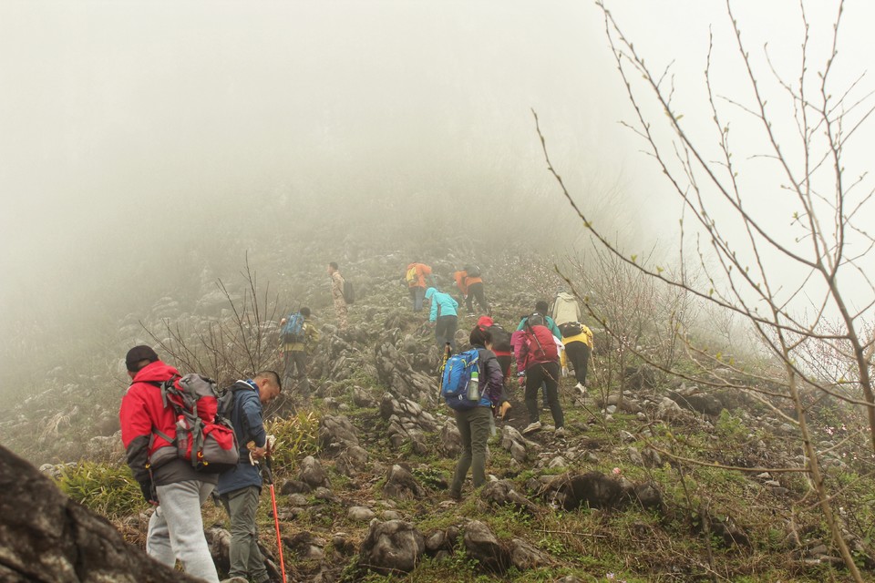 微信图片_20210308164425