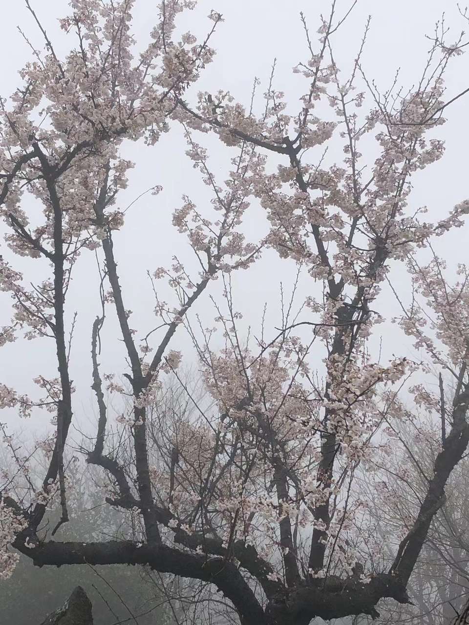 微信图片_20210308165650