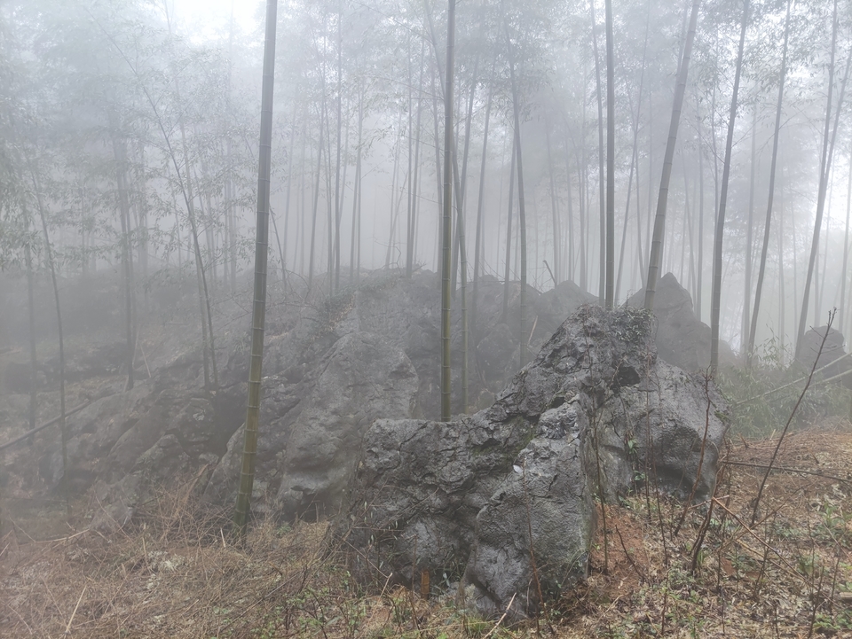 微信图片_20210308165838