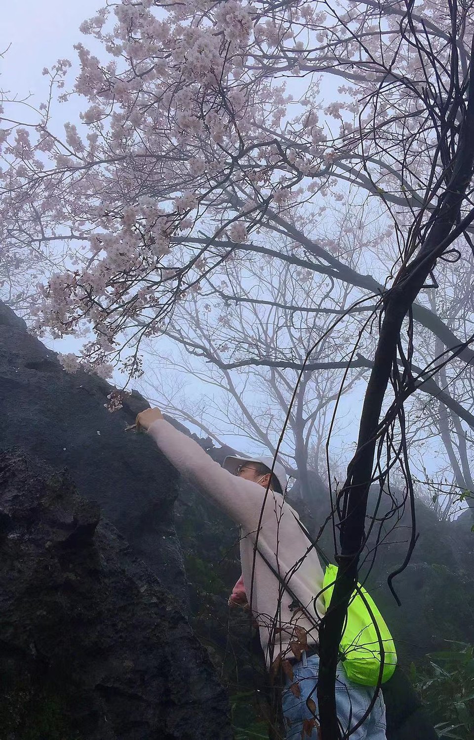 微信图片_20210308165909