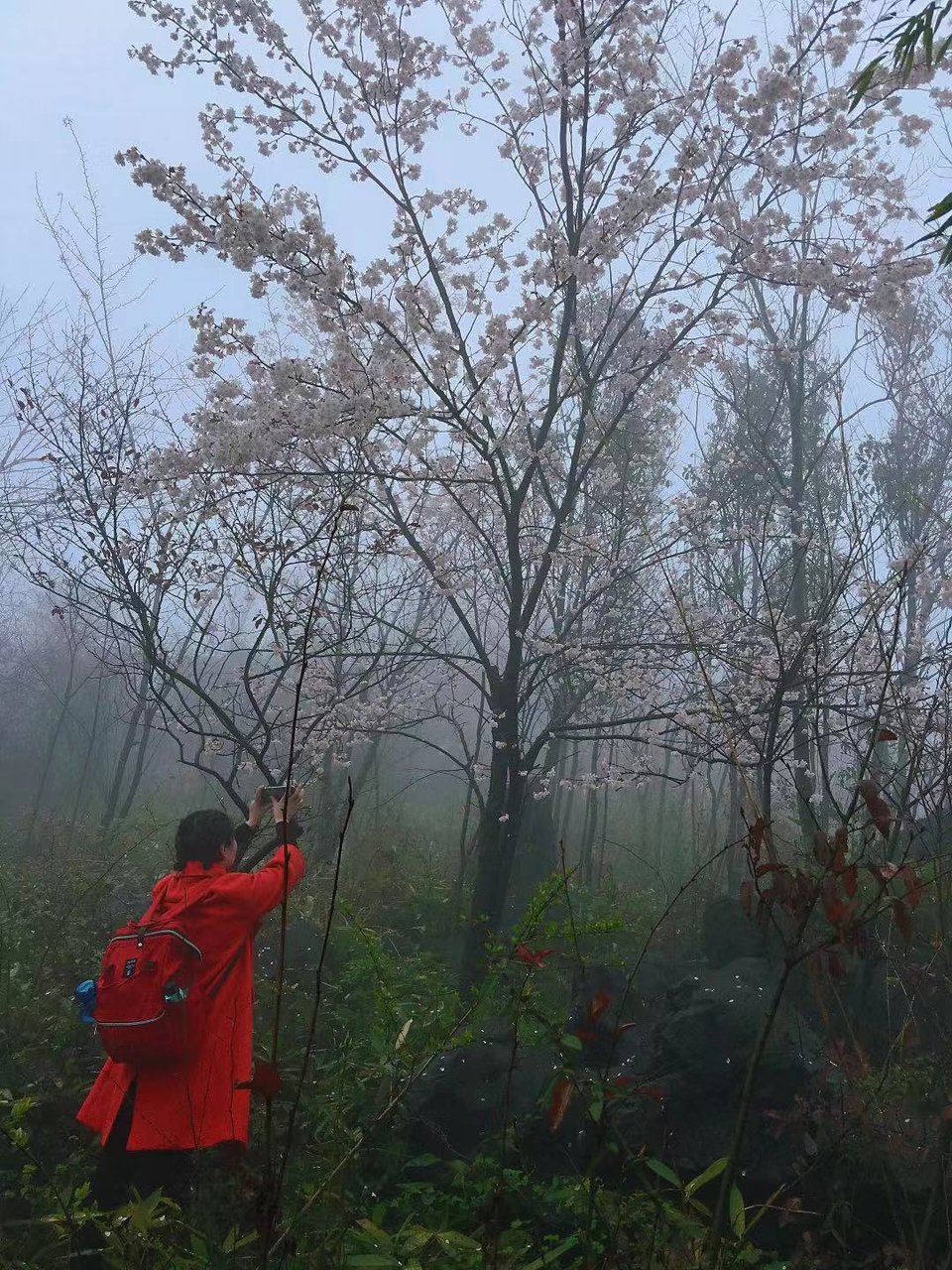 微信图片_20210308165915