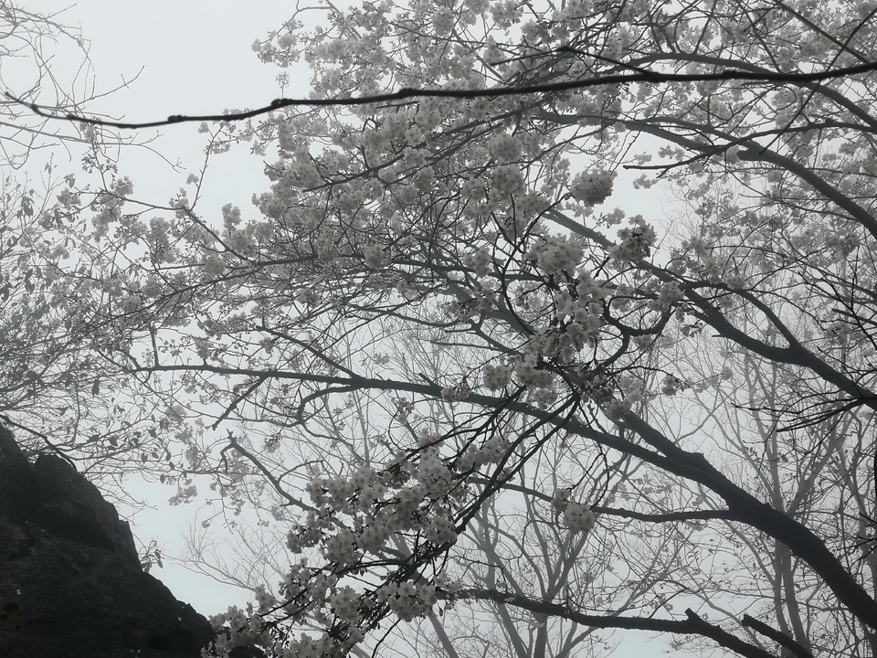 微信图片_20210308165931