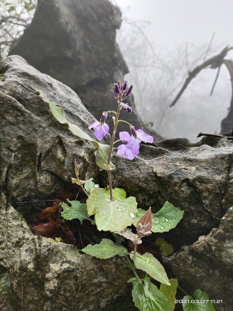 微信图片_20210308165958