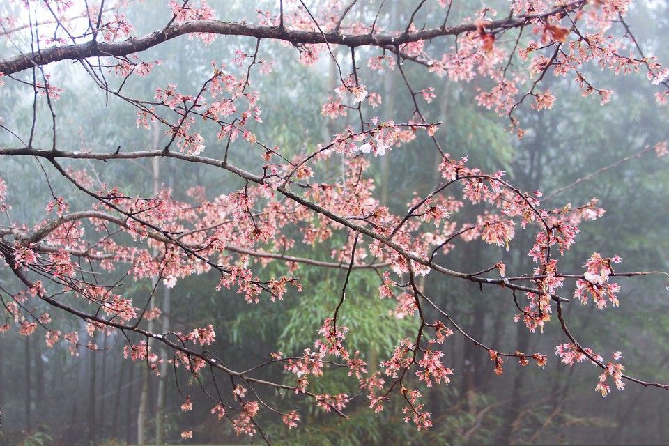 微信图片_20210308170021