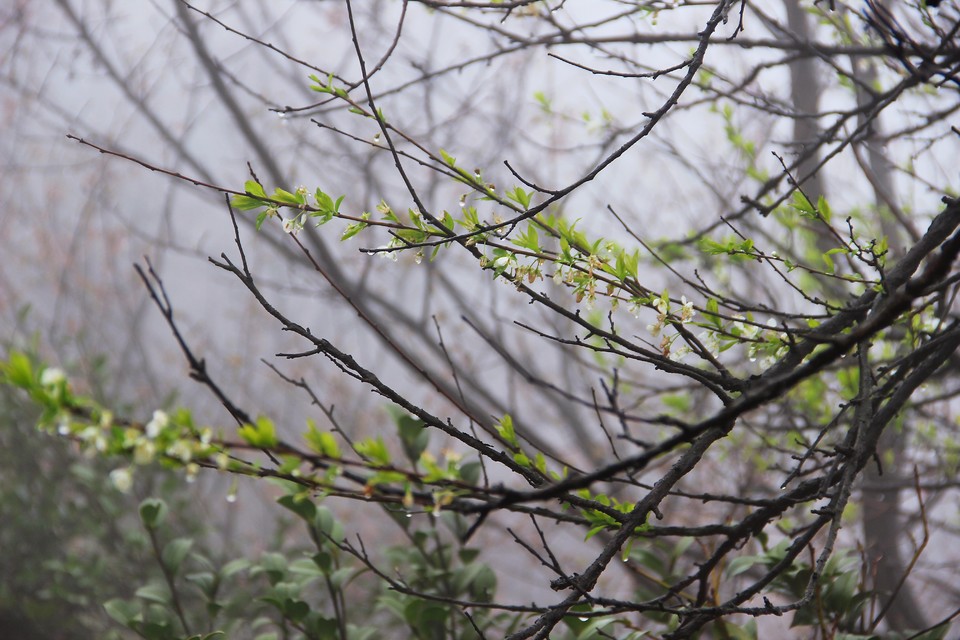 微信图片_20210308170028