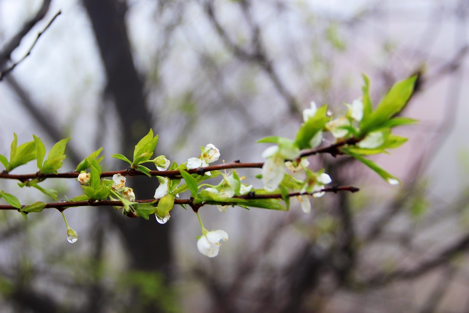 微信图片_20210308170032