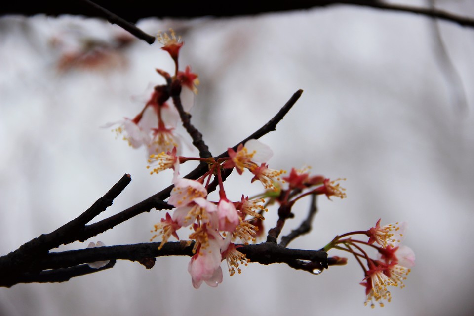 微信图片_20210308170035