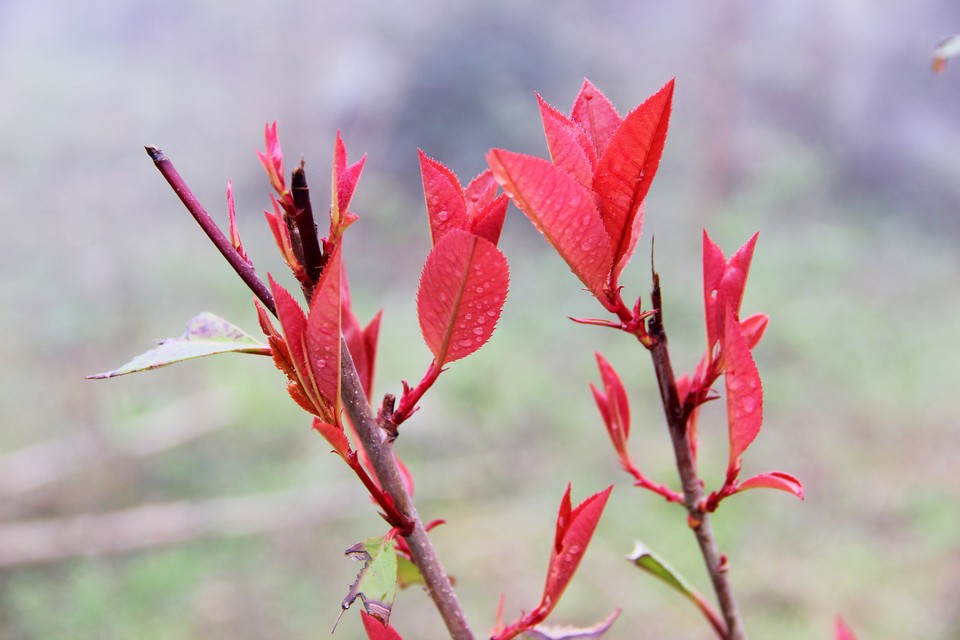 微信图片_20210308170039