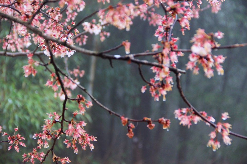 微信图片_20210308170042