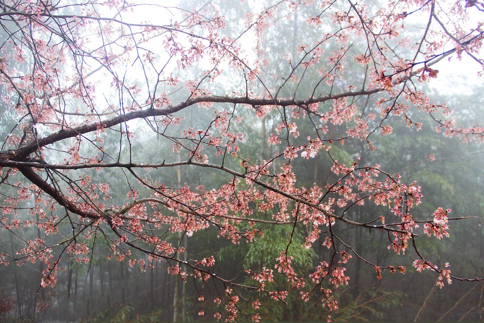 微信图片_20210308170046