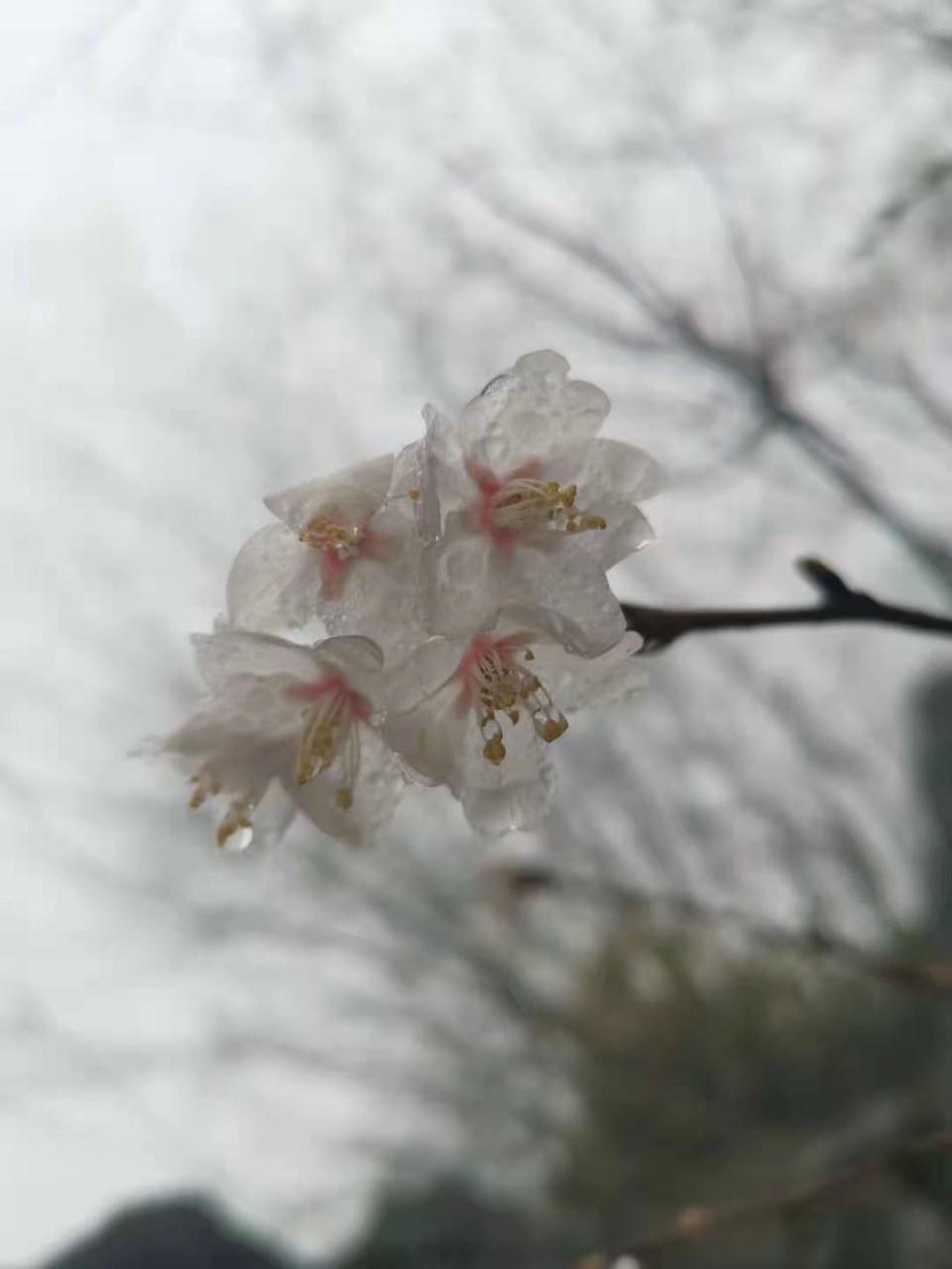 微信图片_20210308170050