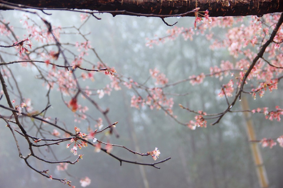 微信图片_20210308170053