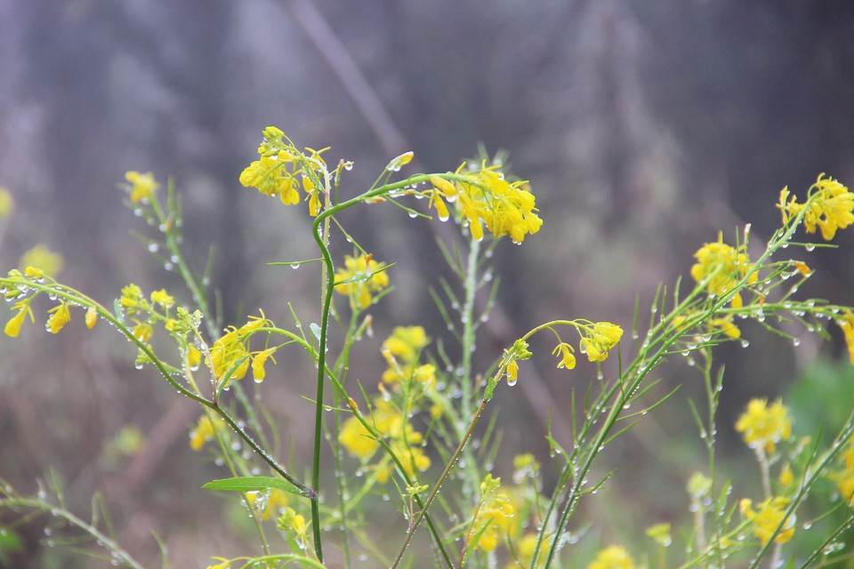 微信图片_20210308170057