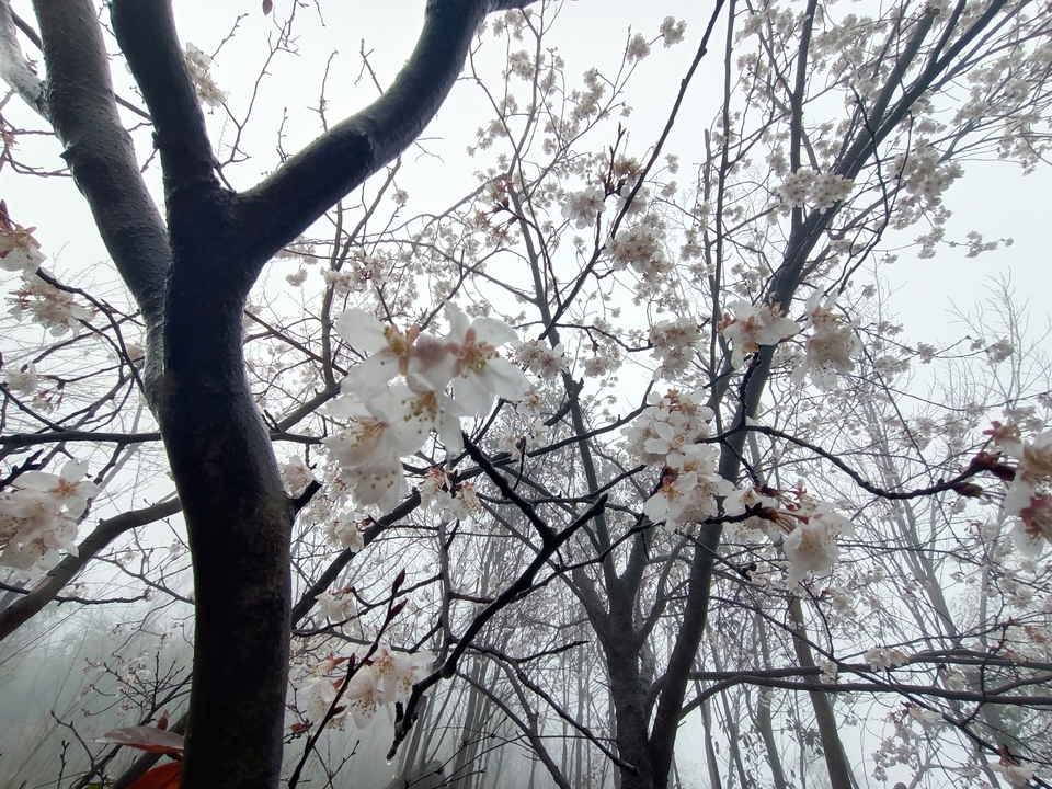 微信图片_20210308170108