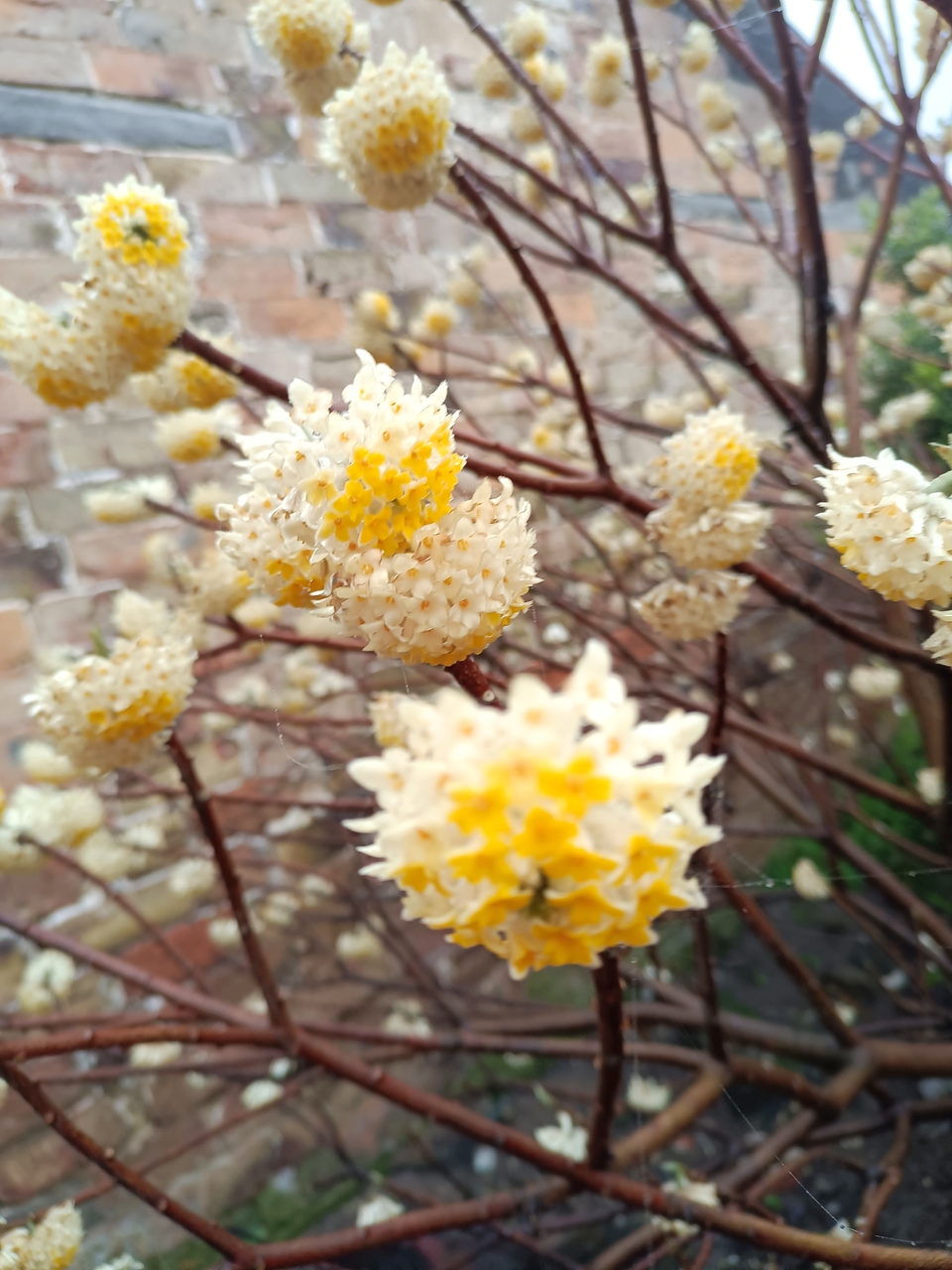 微信图片_20210308170112