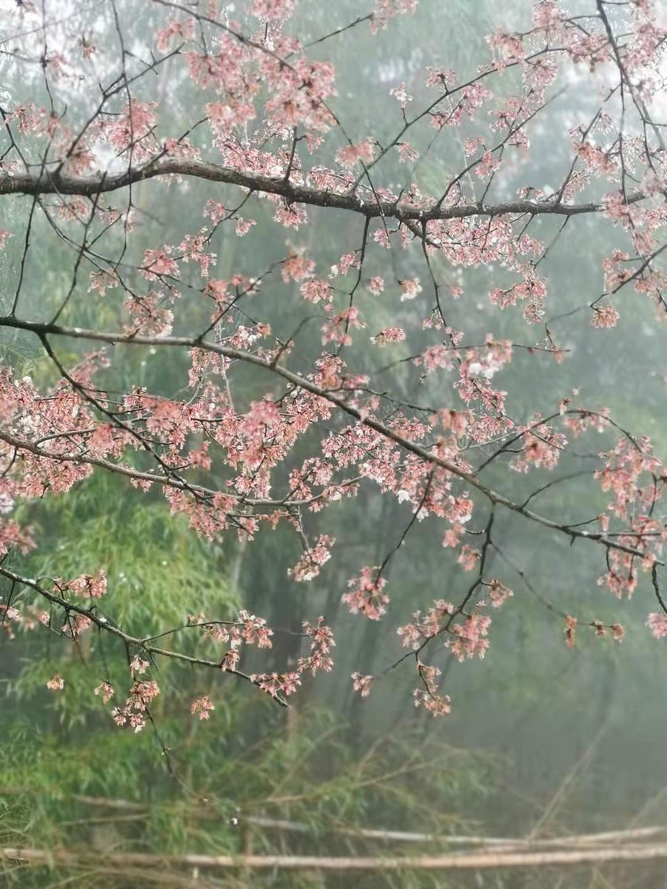 微信图片_20210308170138