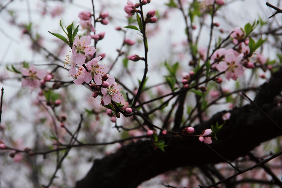 微信图片_20210308170156