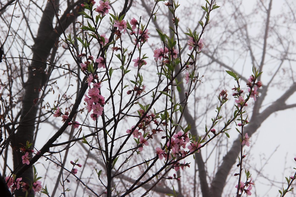 微信图片_20210308170205