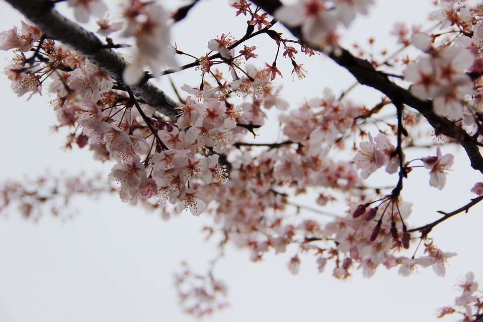 微信图片_20210308170210