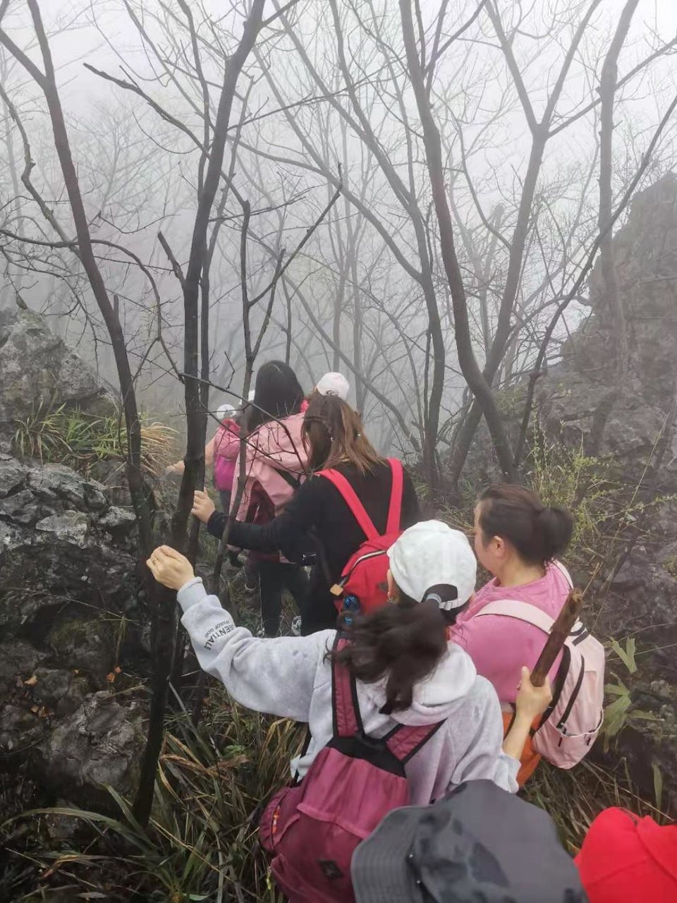 微信图片_20210308170226