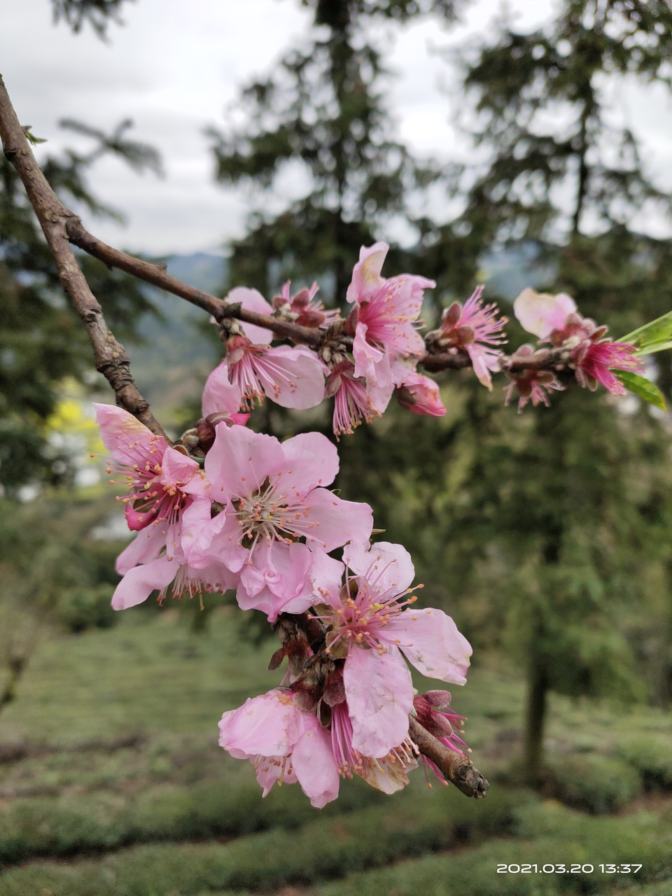 微信图片_20210322154728