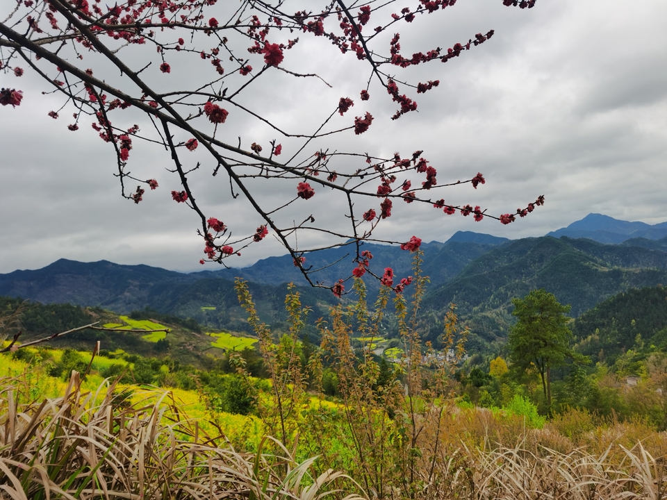 微信图片_20210322154806