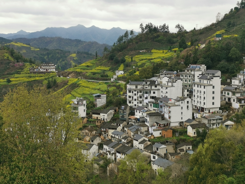 微信图片_20210322154922