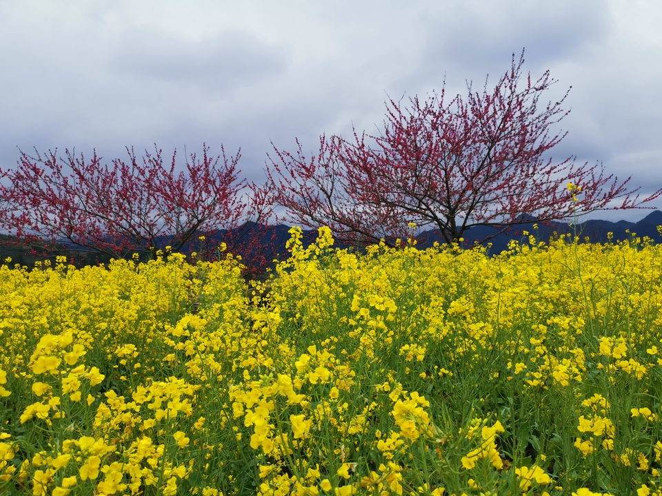 微信图片_20210322154931