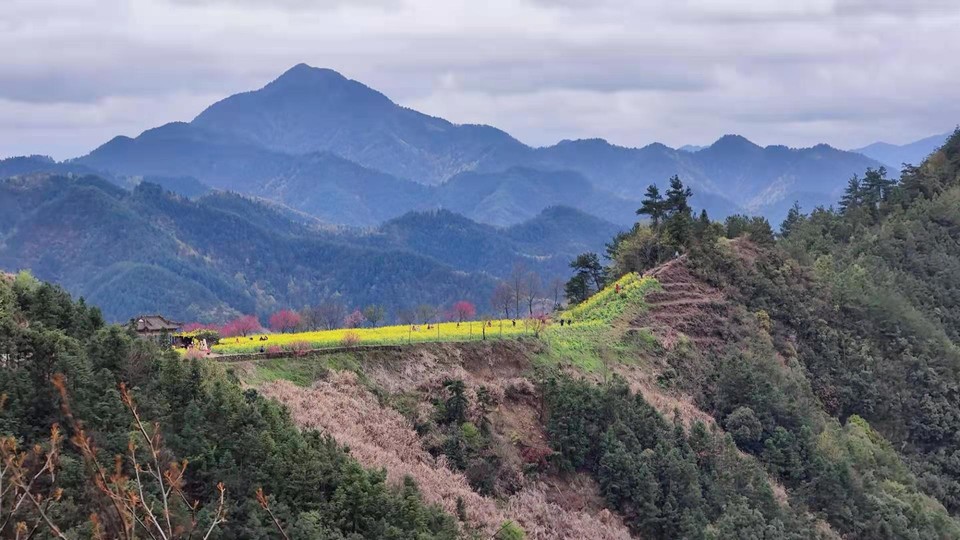 微信图片_20210322155005