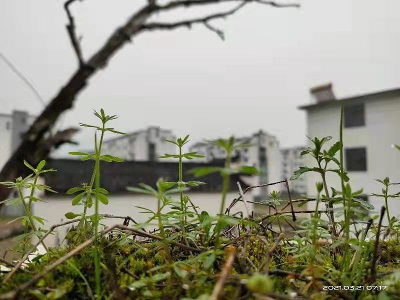 微信图片_202103221558065