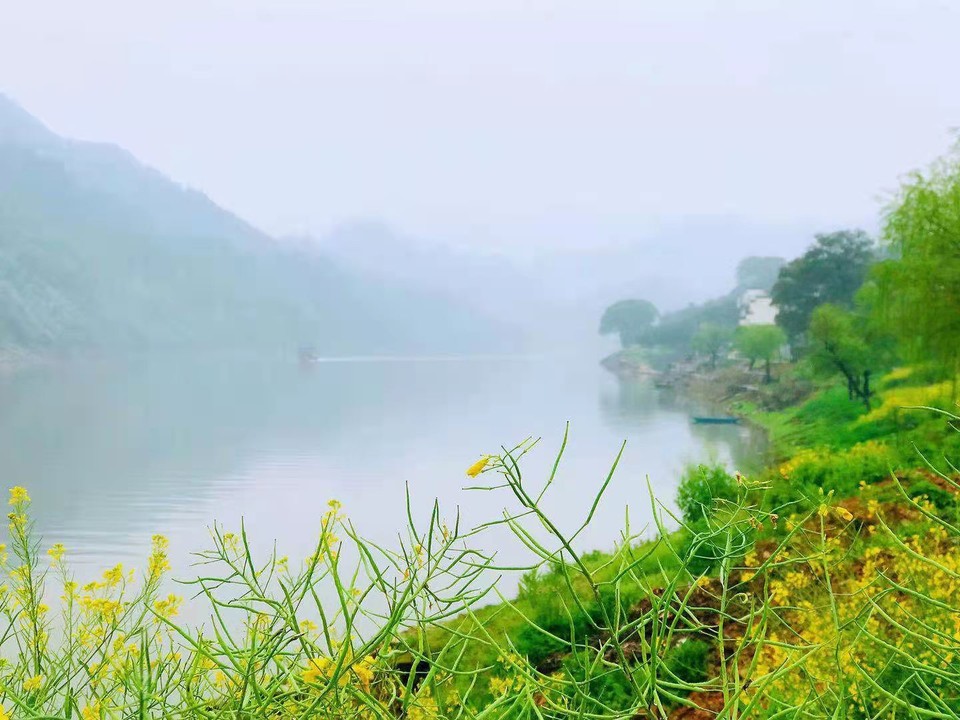 微信图片_202103221558536