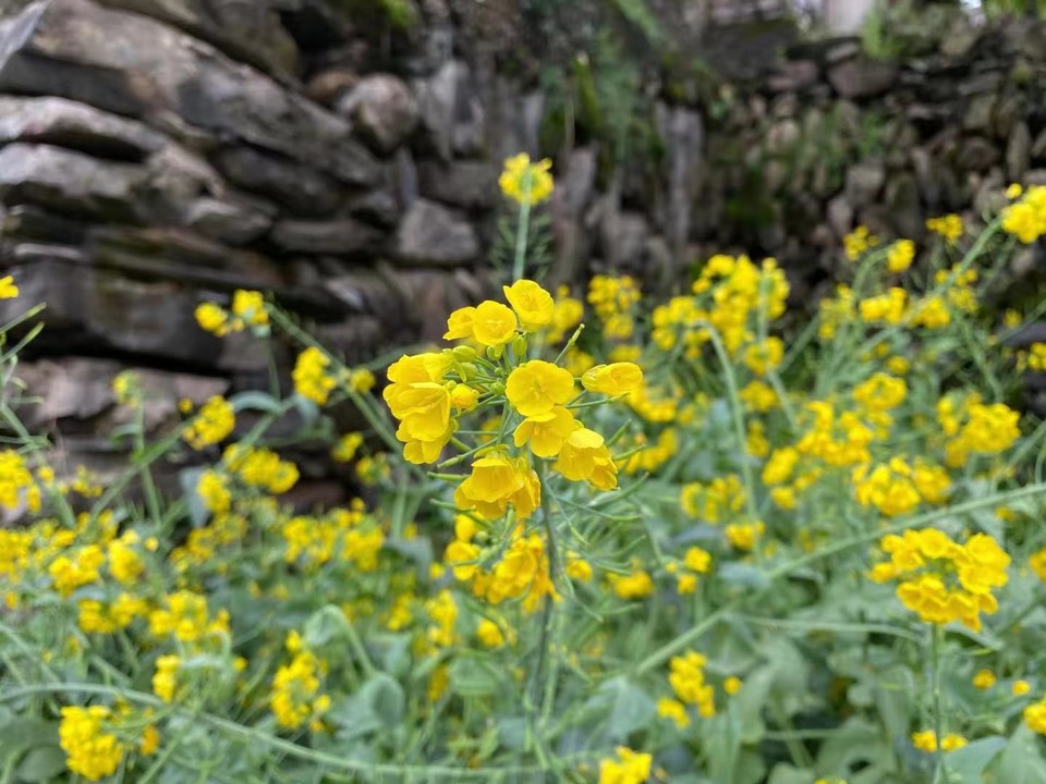 微信图片_202103221558542