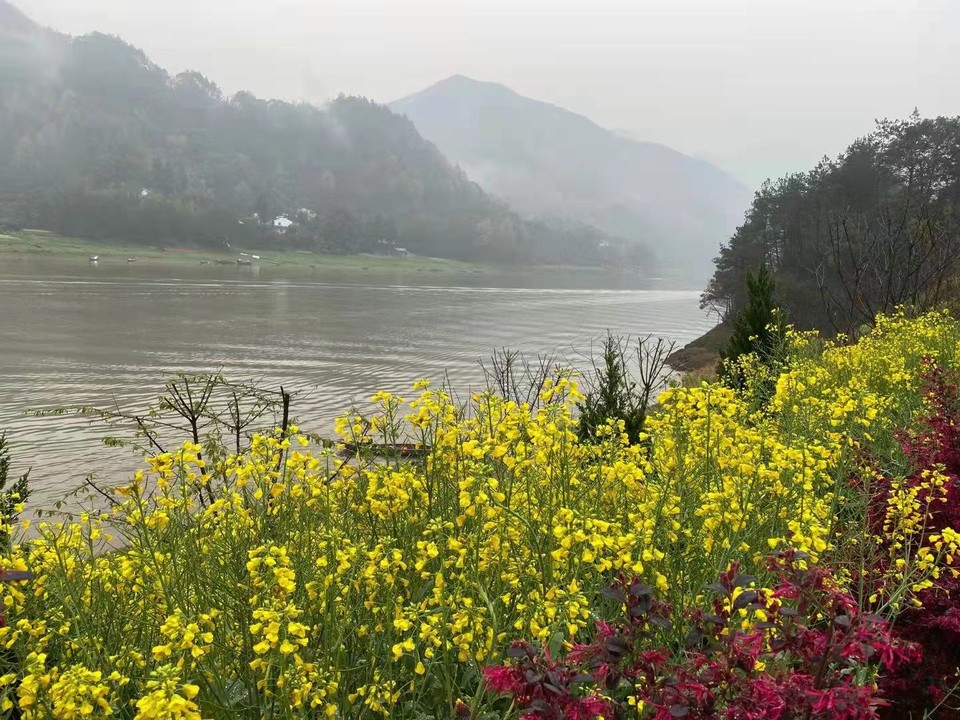 微信图片_2021032215585310