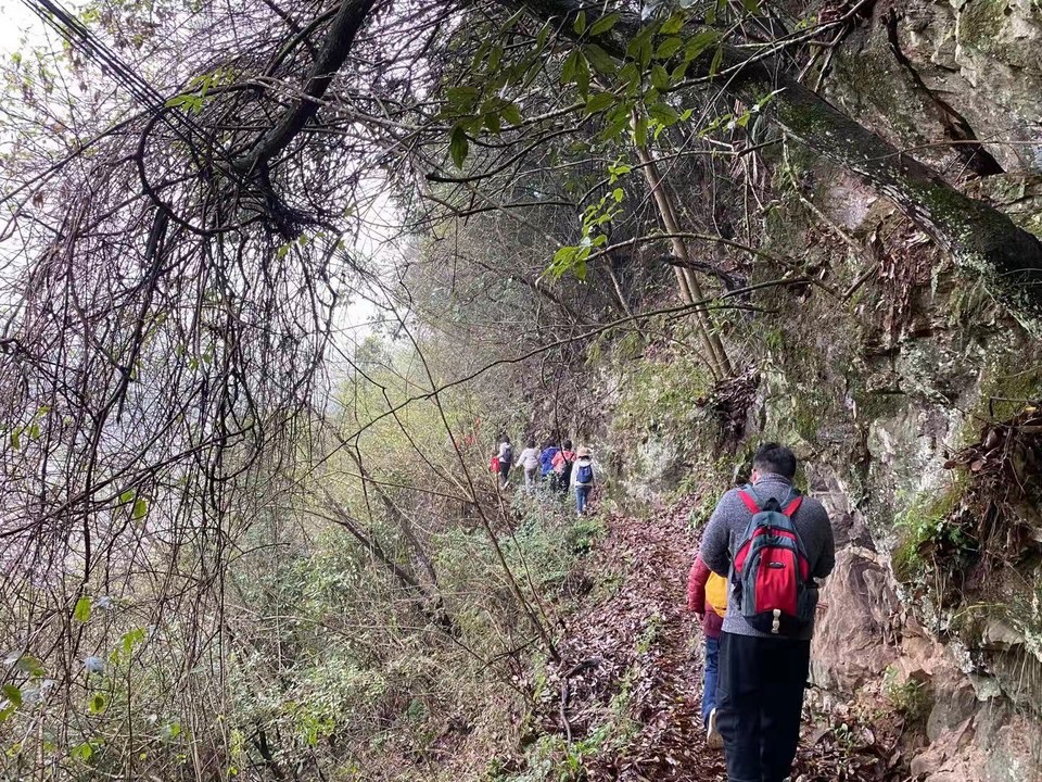 微信图片_2021032215585314