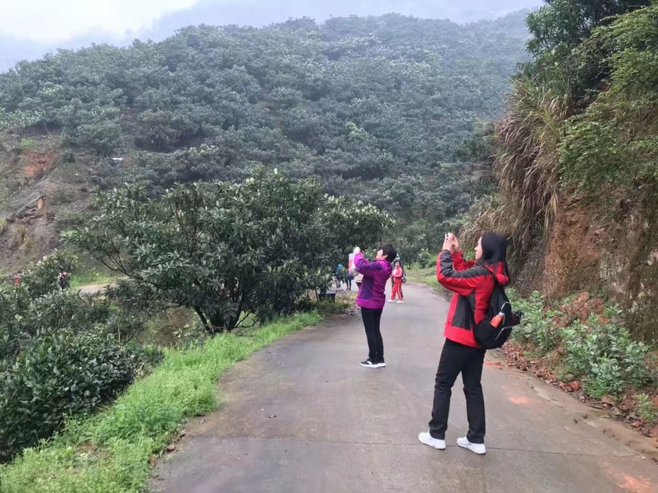 微信图片_2021032215585412