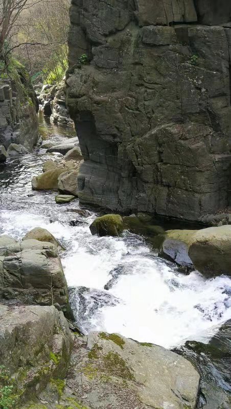 微信图片_2021032216500215