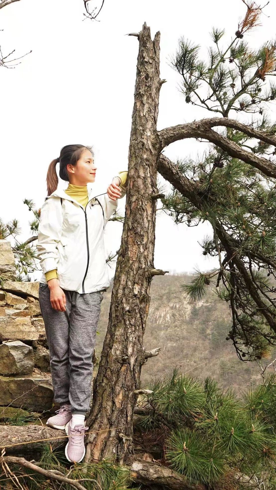 微信图片_2021032216500230