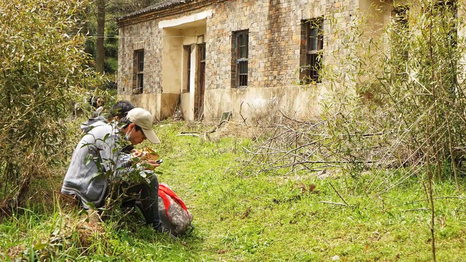 微信图片_2021032216500236