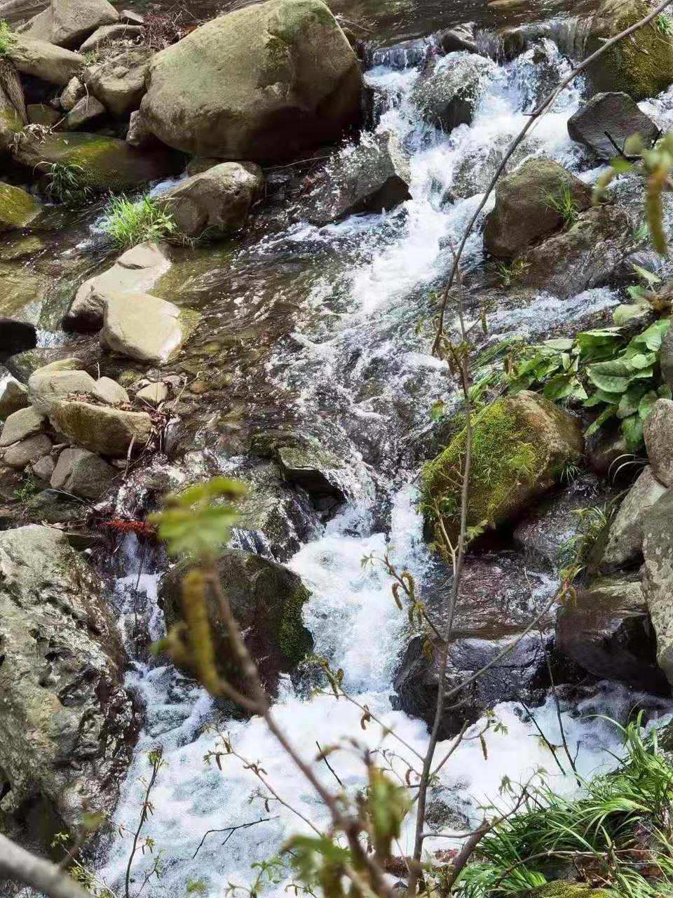 微信图片_202103221658253