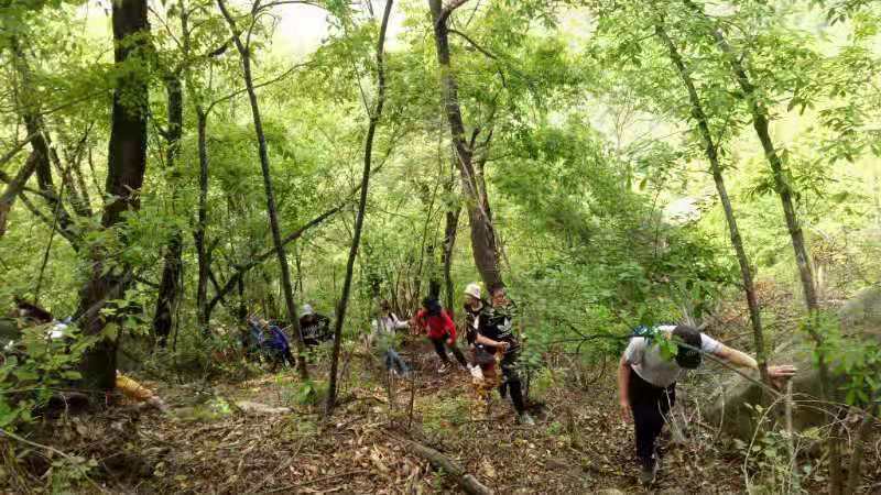 微信图片_202105061645402