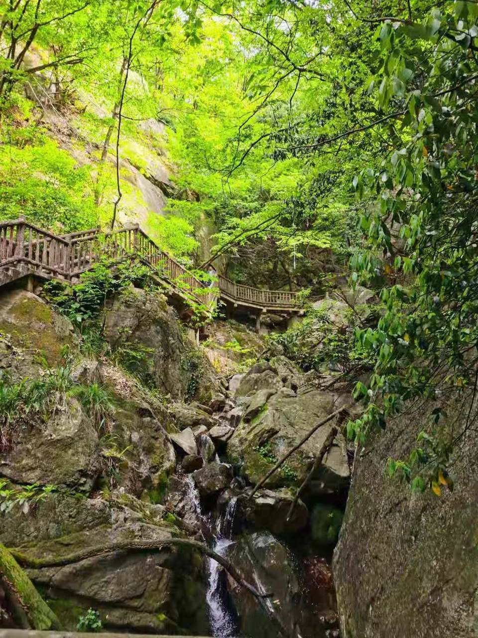 微信图片_2021050616454032