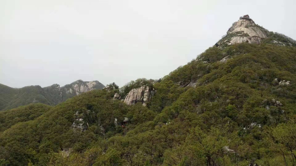 微信图片_202105061659179