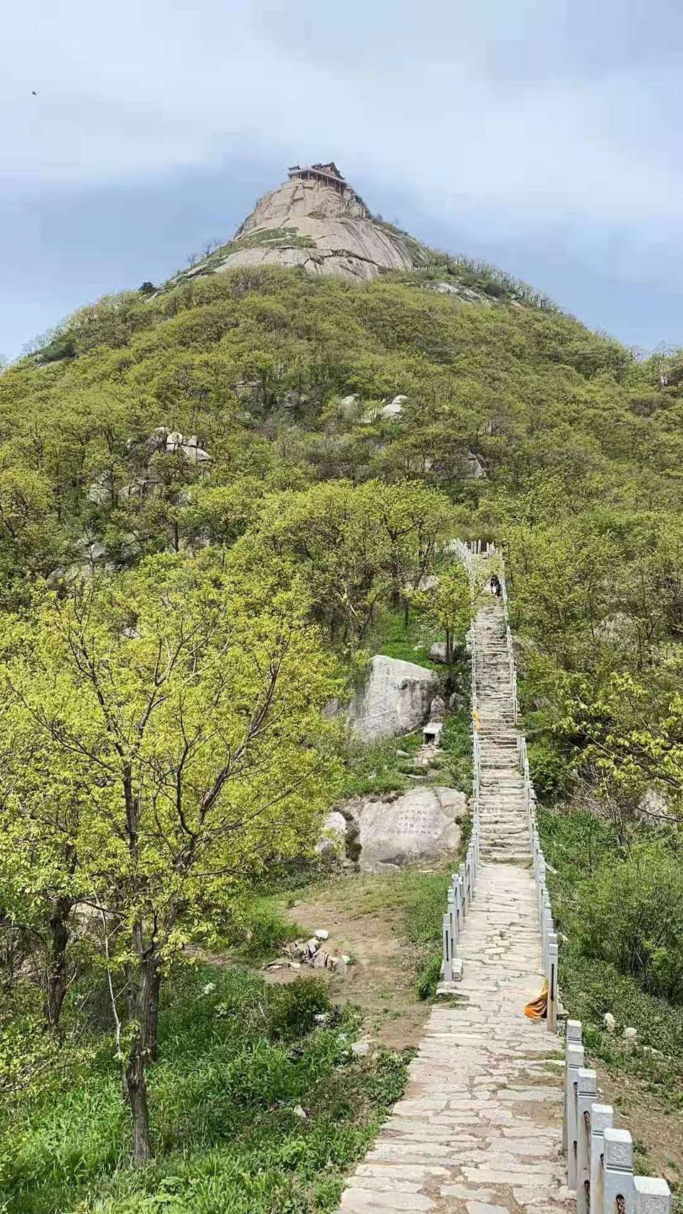 微信图片_202105061659189