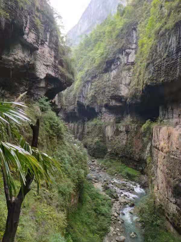 微信图片_202105061743548