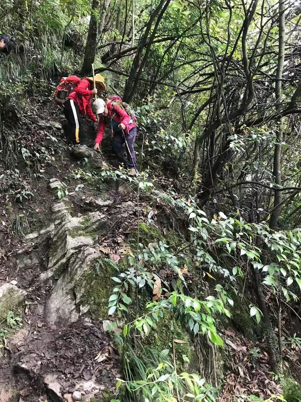 微信图片_2021050617435414