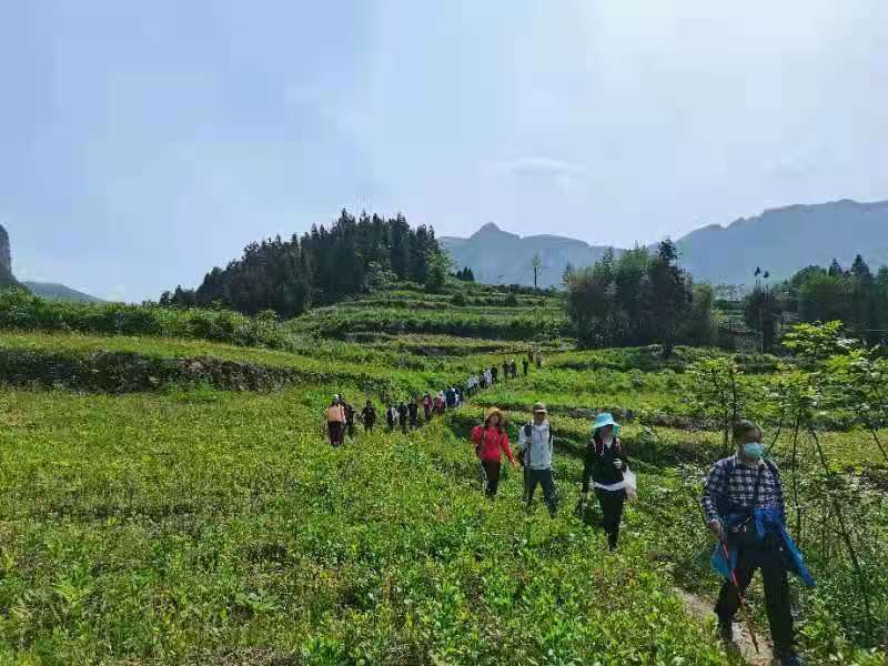 微信图片_2021050617435418