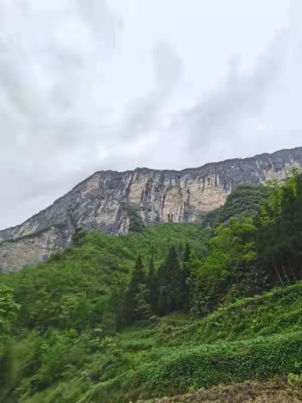 微信图片_2021050617435421